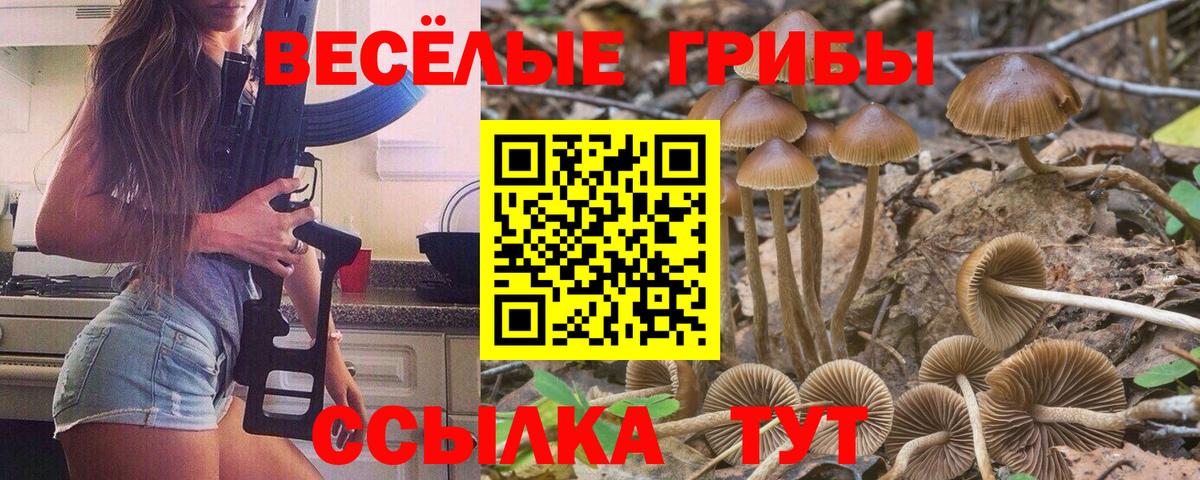 Псилоцибиновые грибы Magic Shrooms  где можно купить   Галлюциногенные грибы мухоморы  Лесной  Вход с VPN 